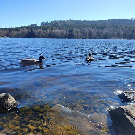 Lipno Pearl 4 Lägenhet Lipno nad Vltavou Exteriör bild